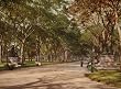 Lower End, Central Park Mall, 1901 - Exceptional Print of a Vintage Photochrom Image from the Library of Congress Collection