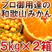 【送料無料2980円】プロ御用達☆訳あり和歌山みかん10kg