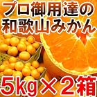 【送料無料２９８０円】プロ御用達☆訳あり和歌山みかん１０kg