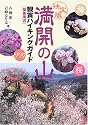 満開の山 観賞ハイキングガイド(関東周辺)