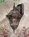 Minka Lavery Lights 8201-61 Small Wall Mount Light Vintage Rust Segovia Outdoor Lighting