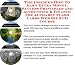 Book The Insider's How To Earn Extra Money, Success Principles and Accounting & Finance for Alphabet Flash Cards Web Biz 3 CD Course