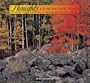 Thoughts from Walden Pond 2010 Calendar