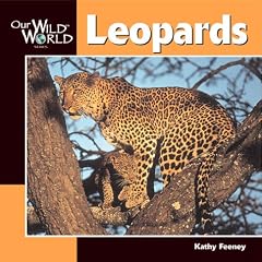 Leopards (Our Wild World)