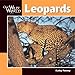 Leopards (Our Wild World)