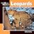 Leopards (Our Wild World)