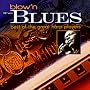 Blow'n the Blues: Best of the Great Harp Players