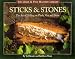 61PVG2Q4Y2L. SL75  Cedar Planked Orange Pesto Salmon Recipe