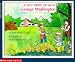 Books : . . . If You Grew Up with George Washington