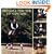 Dressage for the 21st Century