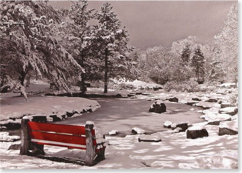 Snowy Bench (Christmas Cards, Holiday Cards, Greeting Cards) (Large Holiday Card Series)