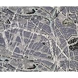 Map of Paris Furnishing Fabric, by Ralph Barton (Print On Demand)