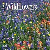 Wildflowers 2016 Mini 7x7 Wildflowers 2016 Mini 7x7