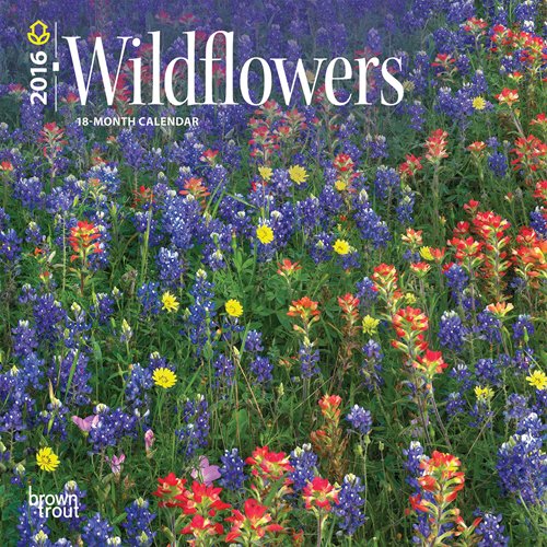 Wildflowers 2016 Mini 7x7