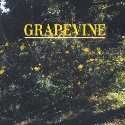 指先 / COME ON(DVD付) [Single] [Limited Edition] GRAPEVINE 田中和将 長田進