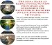 Book The Mega Make An Extra Income, Success Principles and eCommerce for Racquetball Racquets On-line Businesses 3 CD Course