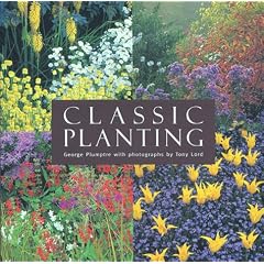Classic Planting