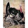 Martin Archery Game Targets Each - Turkey