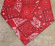 Miracool Dog Bandanas - Help Protect Your Dog From the Summer Heat Stress - Red Bandana