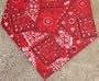 Miracool Dog Bandanas - Help Protect Your Dog From the Summer Heat Stress - Red Bandana