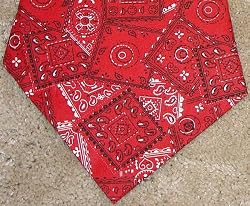 Miracool Dog Bandanas - Help Protect Your Dog From the Summer Heat Stress - Red Bandana