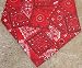 Miracool Dog Bandanas - Help Protect Your Dog From the Summer Heat Stress - Red Bandana