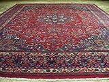 9 X 12 Navy Blue Red Traditional Handmade Hand-knotted Persian Oriental Area Rug G311
