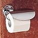 Ginger Polished Chrome Barcelona Hooded Toilet Tissue Holder