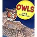 Owls