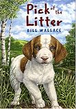 The Pick Of The Litter