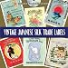 Vintage Japanese Silk Trade Labels: Includes CD-ROM (Pictorial Archive Series)