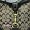 AUTHENTIC COACH HAMPTONS SIGNATURE HOBO 11058