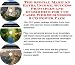 Search : The Special Make An Extra Income, Success Principles and eCommerce for Boxes Web Businesses 3 CD Power Pack