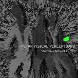 Metaphysical Perceptions