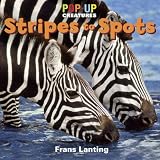 Pop-Up Creatures: Stripes to Spots