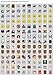 Sticker Spearfishing Diver Car Door Hobbies Sports car Durable Racing White (5 X 2.99 in) White (5X3)