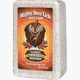 Mighty Deer Lick 22340 Acorn Salt Lick Block