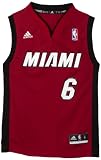 NBA Miami Heat LeBron James Alternate Youth Jersey  (Garnet, Large)