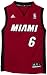 NBA Miami Heat LeBron James Alternate Youth Jersey  (Garnet, Medium)