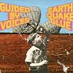 Earthquake Glue