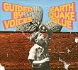 Earthquake Glue