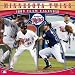 Minnesota Twins 2009  Wall Calendar