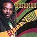 Bushman-Get It in Your Mind