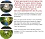 The Special How To Earn Extra Money, Marketing and Success Principles for Skin Care Oils On-line Biz Package (3 CDs)