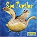 Books : Sea Turtles (Bridgestone Books, World of Reptiles)
