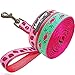 Blueberry Pet Essentials 2 Patterns Durable Pink Flamingo on Light Emerald Dog Leash 5 ft x 3/8