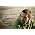 Thumbnail image of Ghislain Poirier