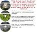 The Best How To Earn Extra Money, Inner Game and Accounting & Finance for Weight Loss Tips Web Biz 3 CD Course