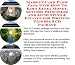 Massive Cash Flow Pack with How To Earn Extra Money, Success Principles and Accounting & Finance for Writing Tips Biz 3 CD Package