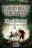 Maze running and other magical missions